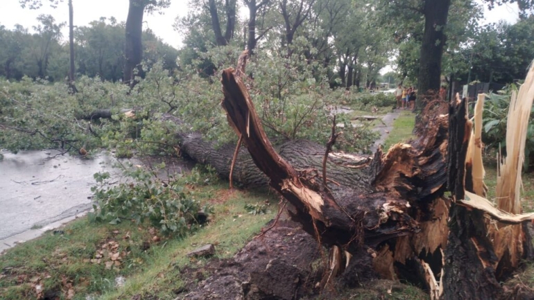 Temporal en Roldán: la Municipalidad recibió más de 50 reclamos