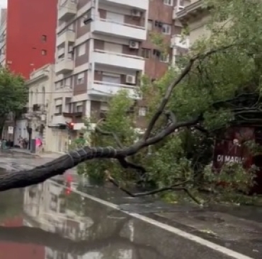 Alerta amarilla: Continuarán fuertes vientos y lluvias que ya provocaron destrozos y cortes de luz