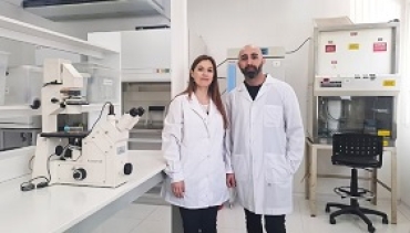 Novedoso método para neutralizar el virus del dengue