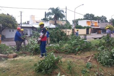 CUADRILLAS DE SERVICIOS PÚBLICOS TRABAJAN EN LA REMOCIÓN DE RAMAS CAÍDAS TRAS LA TORMENTA